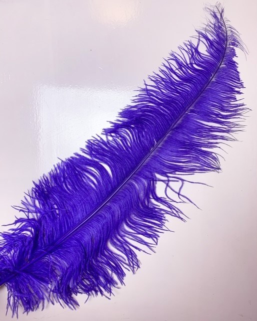 Picture of Ostrich Feathers Purple x 5